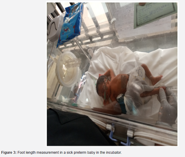 Click here to view Large Figure 3