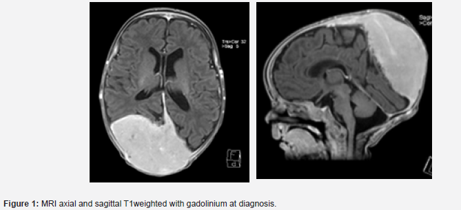 Click here to view Large Figure 1