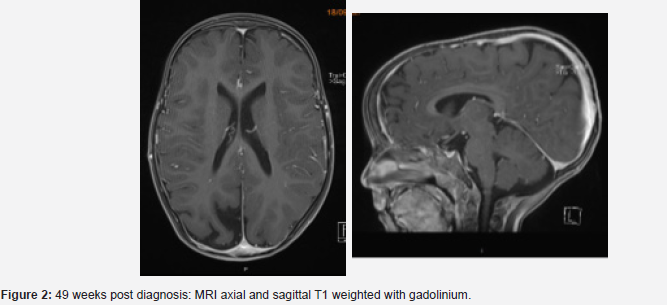 Click here to view Large Figure 2
