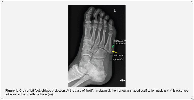 Click here to view Large Figure 1