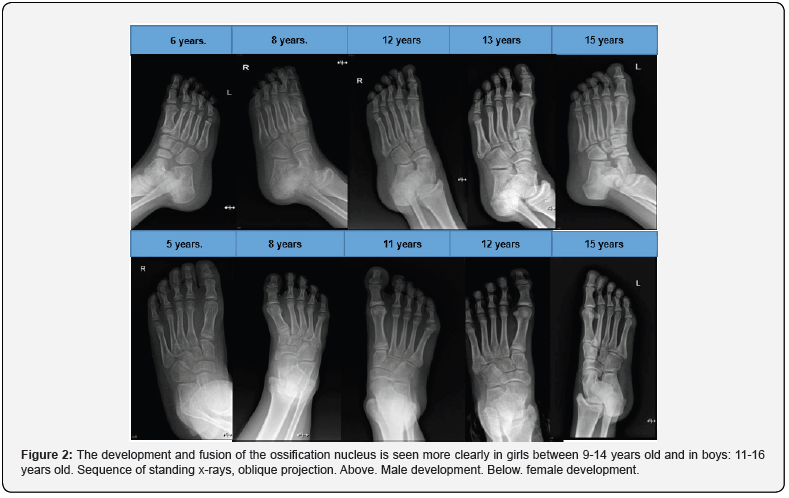 Click here to view Large Figure 2