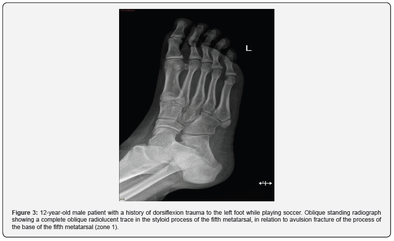 Click here to view Large Figure 3