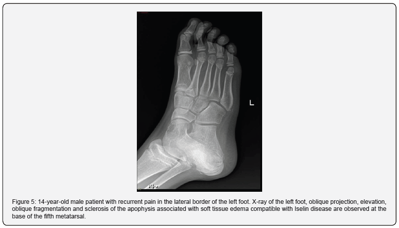 Click here to view Large Figure 5