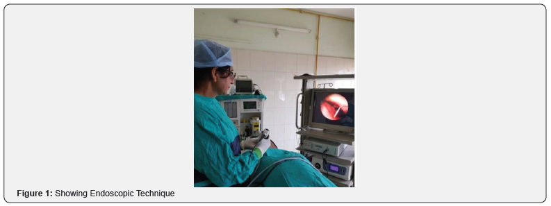 Click here to view Large Figure 1