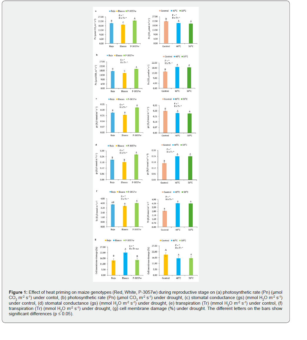 Click here to view Large Figure 1
