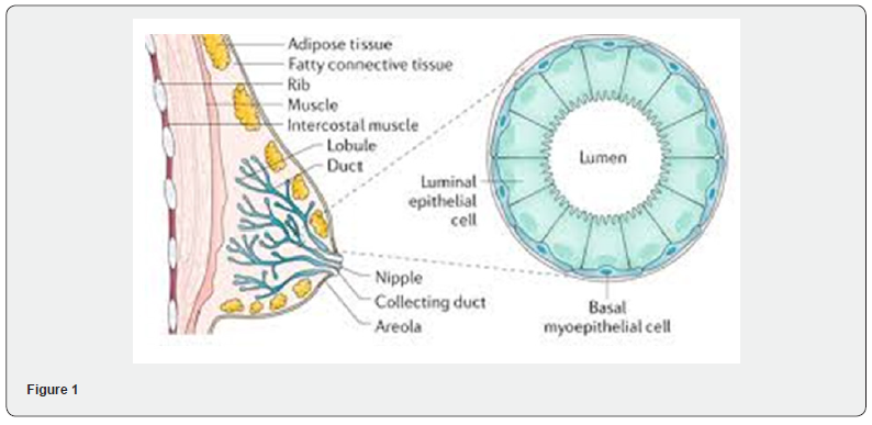Click here to view Large Figure 1