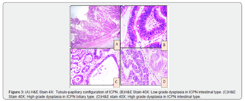 Click here to view Large Figure 3