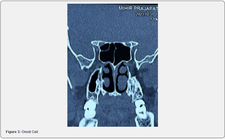 Click here to view Large Figure 3