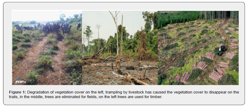 Click here to view Large Figure 1