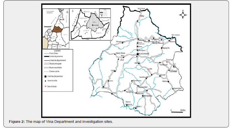 Click here to view Large Figure 2