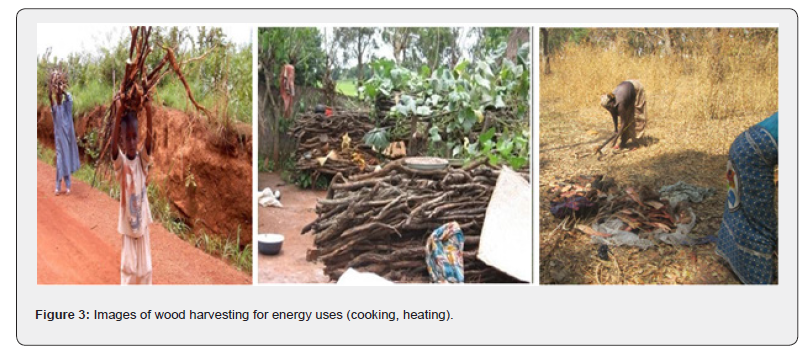 Click here to view Large Figure 3