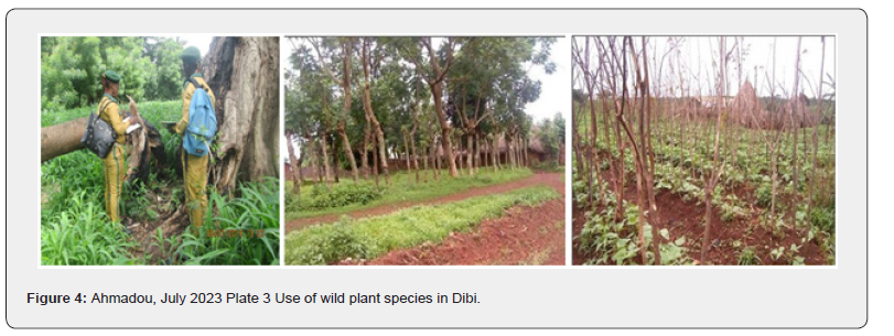 Click here to view Large Figure 4