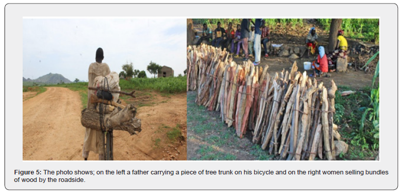 Click here to view Large Figure 5