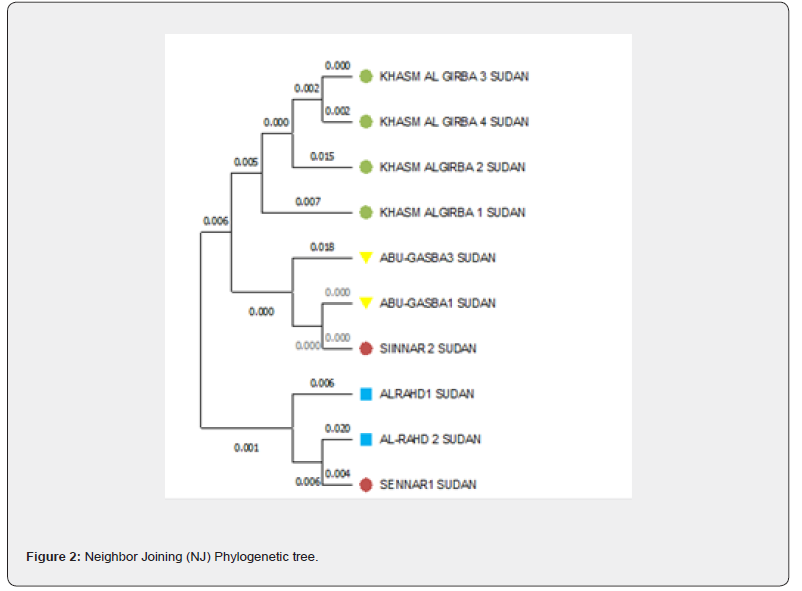 Click here to view Large Figure 2