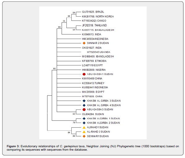 Click here to view Large Figure 3