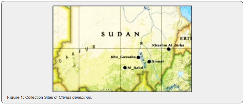 Click here to view Large Figure 1