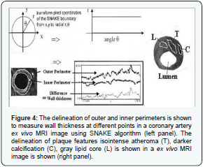 Click here to view Large Figure 4