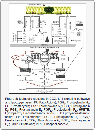 Click here to view Large Figure 5