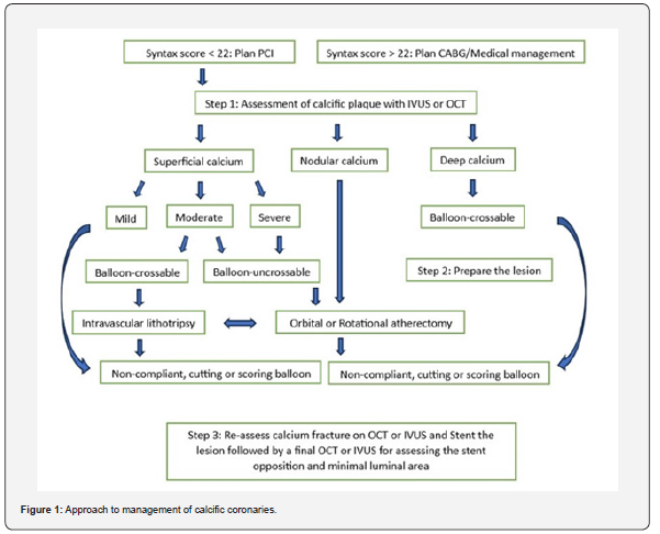 Click here to view Large Figure 1