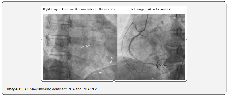 Click here to view Large Figure 1