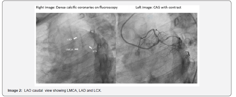 Click here to view Large Figure 2
