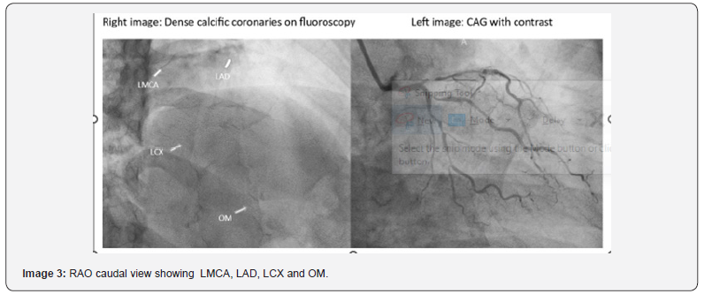 Click here to view Large Figure 3